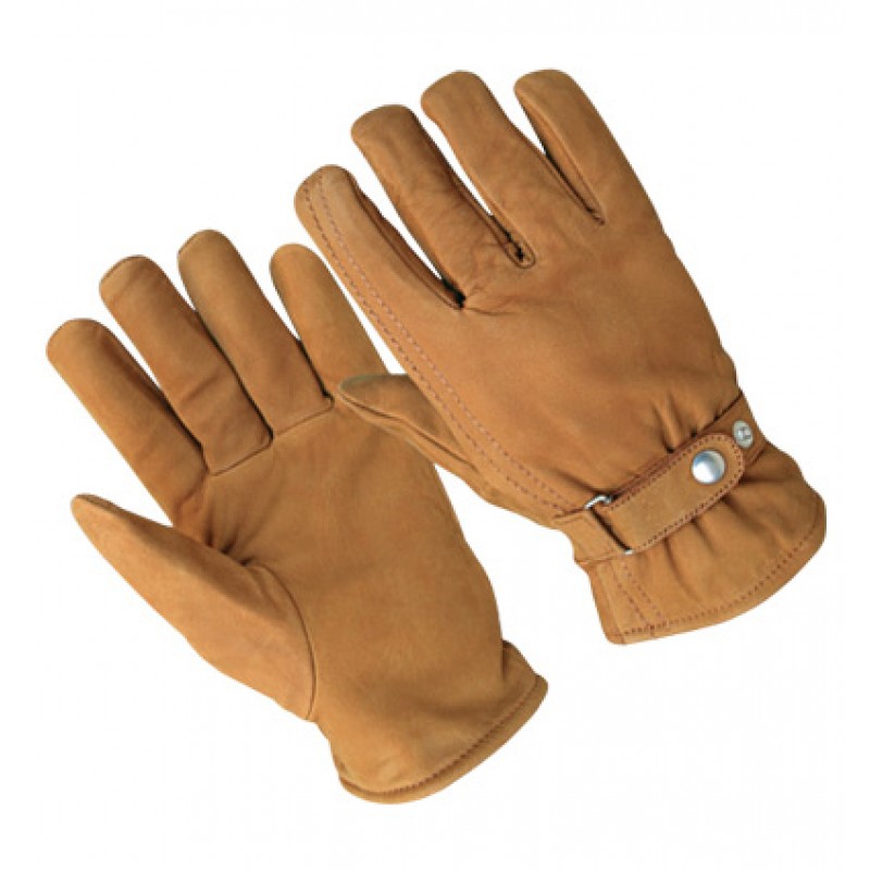Fashion Gloves
